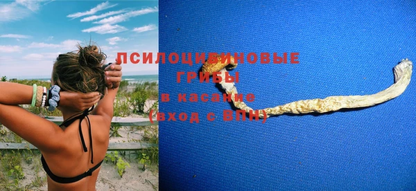 круглые Абаза