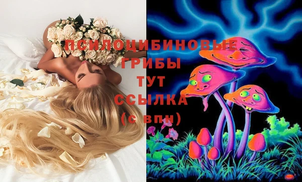 круглые Абаза