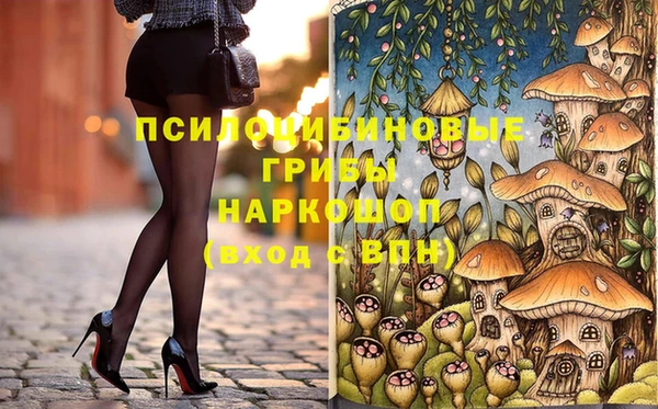 индика Абдулино